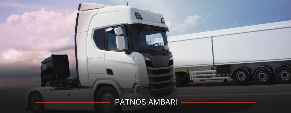 Patnos Ambarı